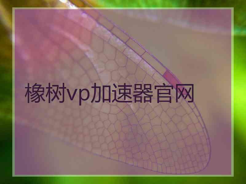 橡树vp加速器官网