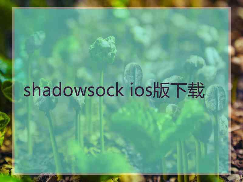 shadowsock ios版下载