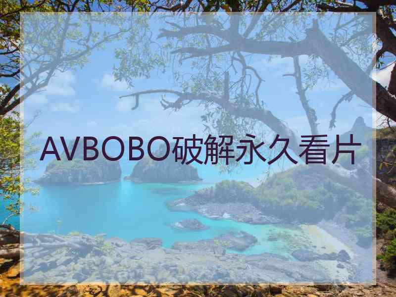 AVBOBO破解永久看片