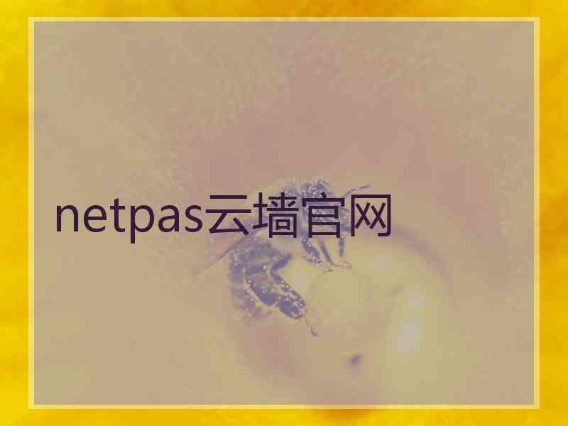 netpas云墙官网