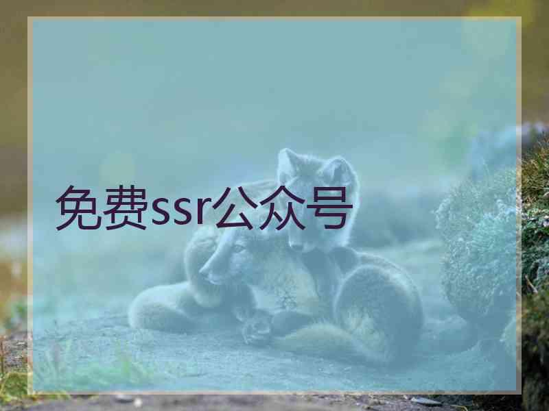 免费ssr公众号