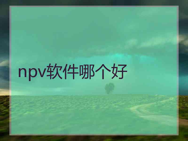 npv软件哪个好