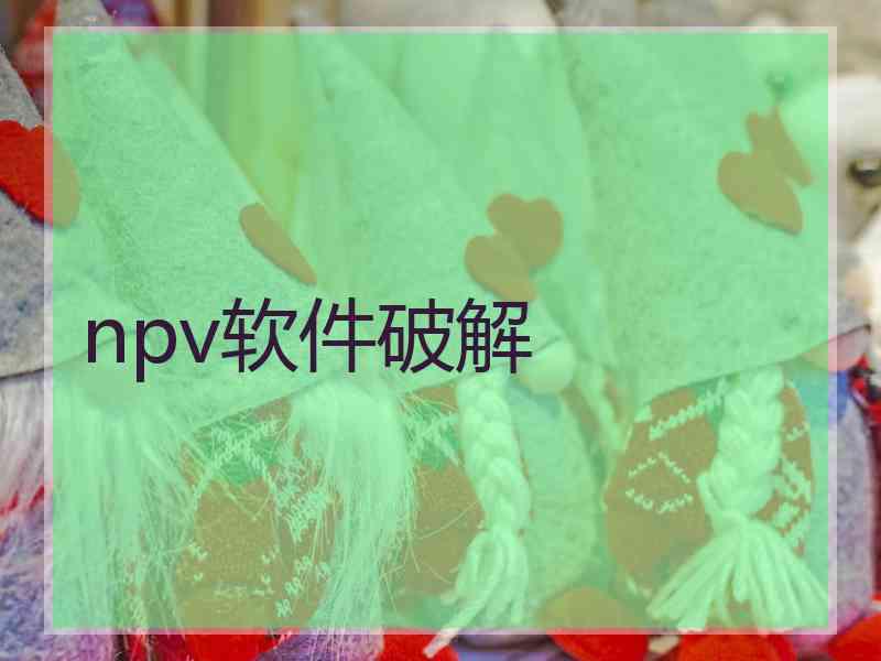 npv软件破解