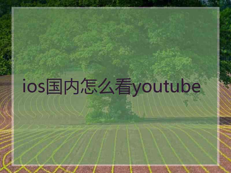 ios国内怎么看youtube