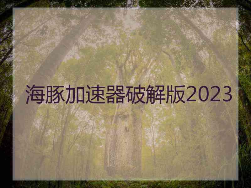 海豚加速器破解版2023