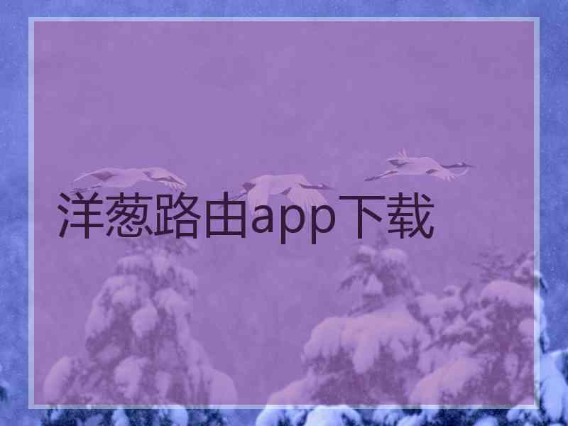 洋葱路由app下载