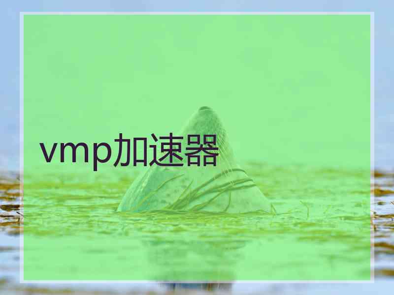 vmp加速器