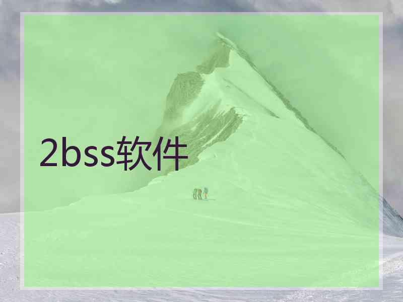 2bss软件