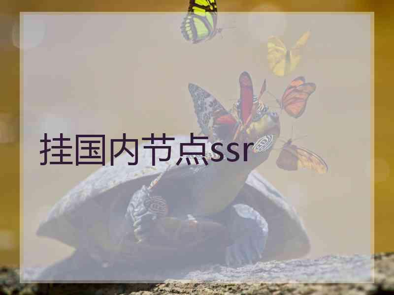 挂国内节点ssr