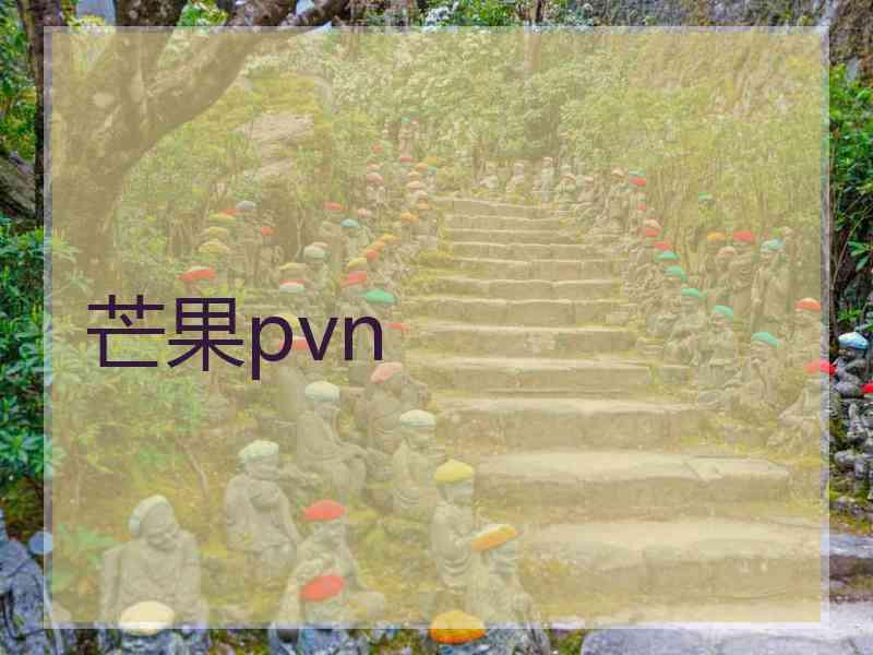 芒果pvn