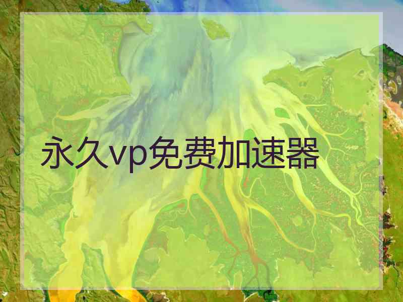 永久vp免费加速器