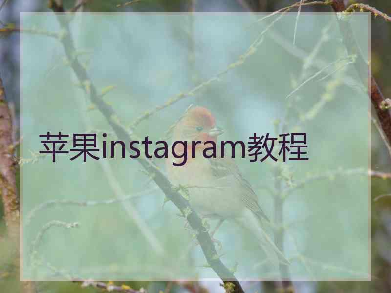 苹果instagram教程