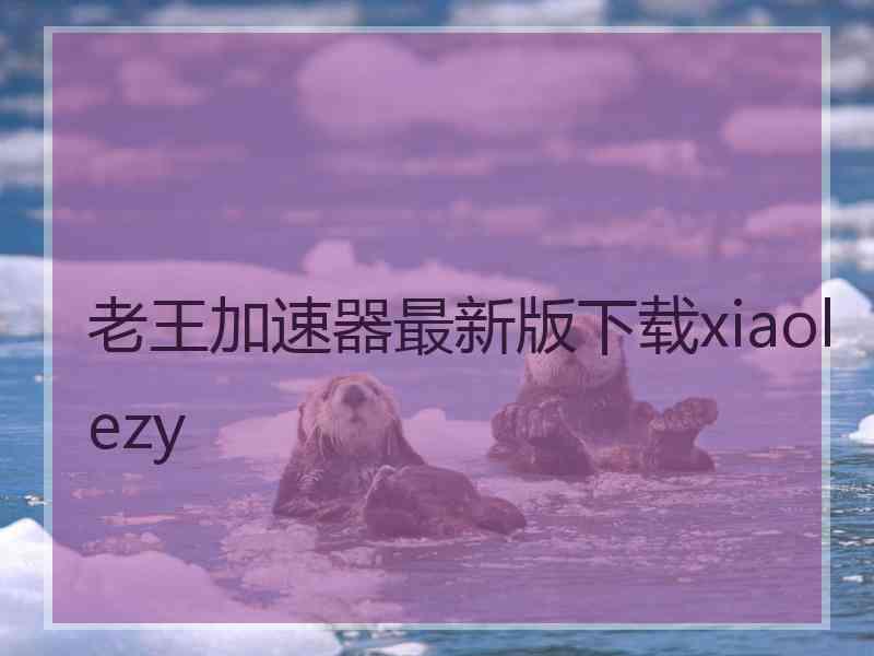 老王加速器最新版下载xiaolezy