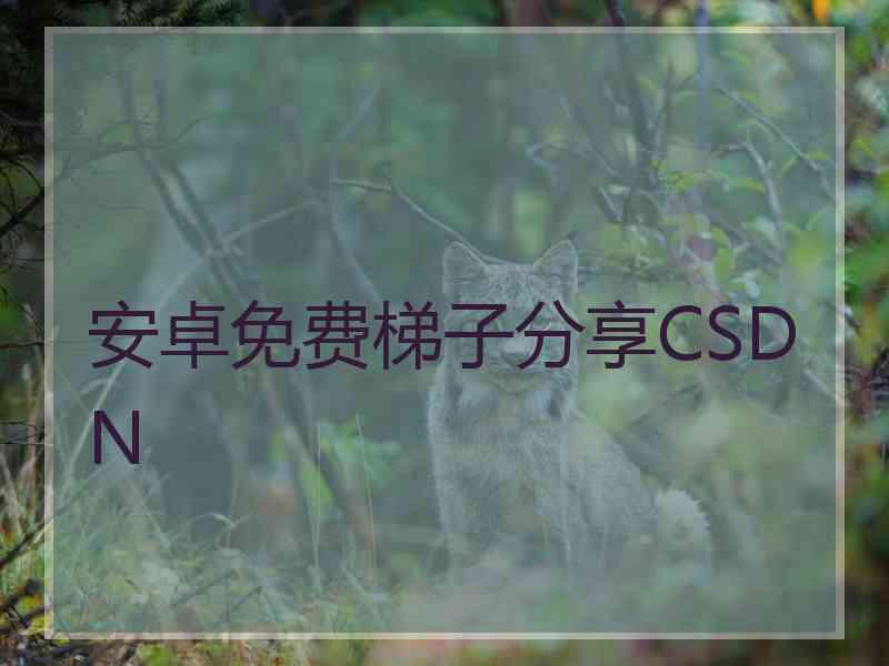 安卓免费梯子分享CSDN