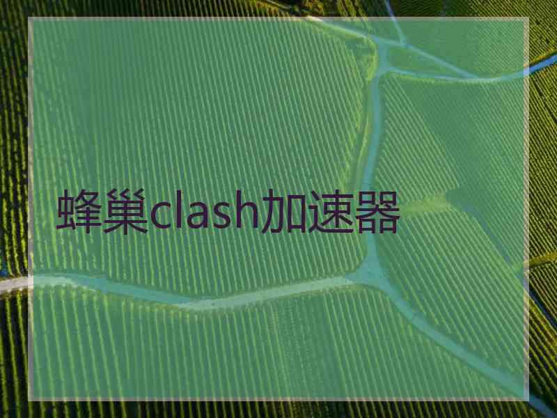 蜂巢clash加速器