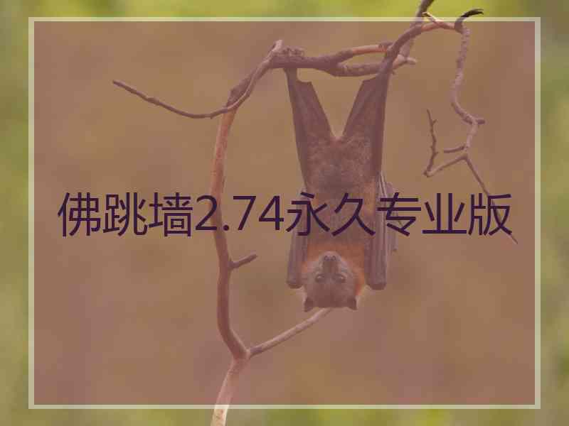 佛跳墙2.74永久专业版