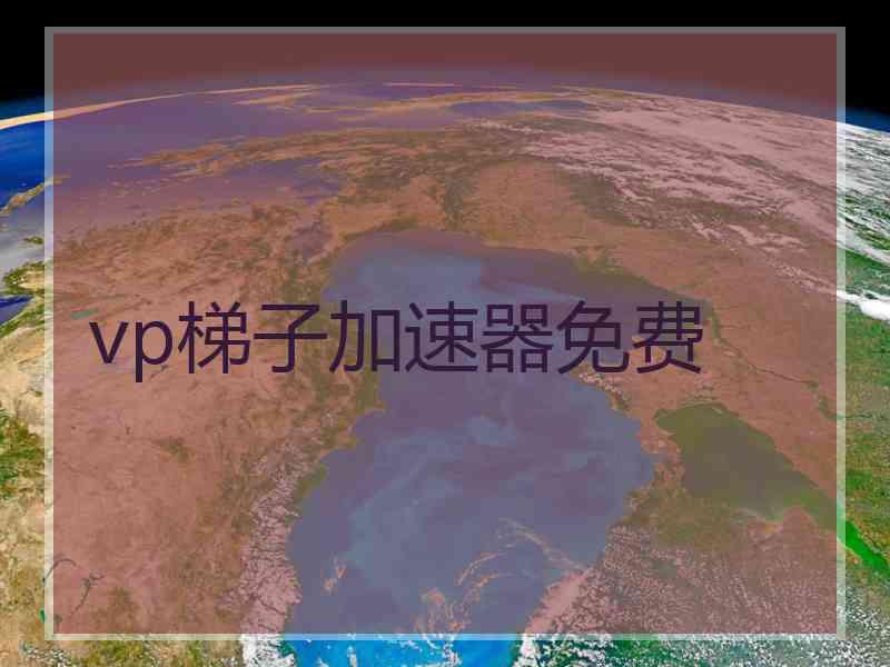 vp梯子加速器免费