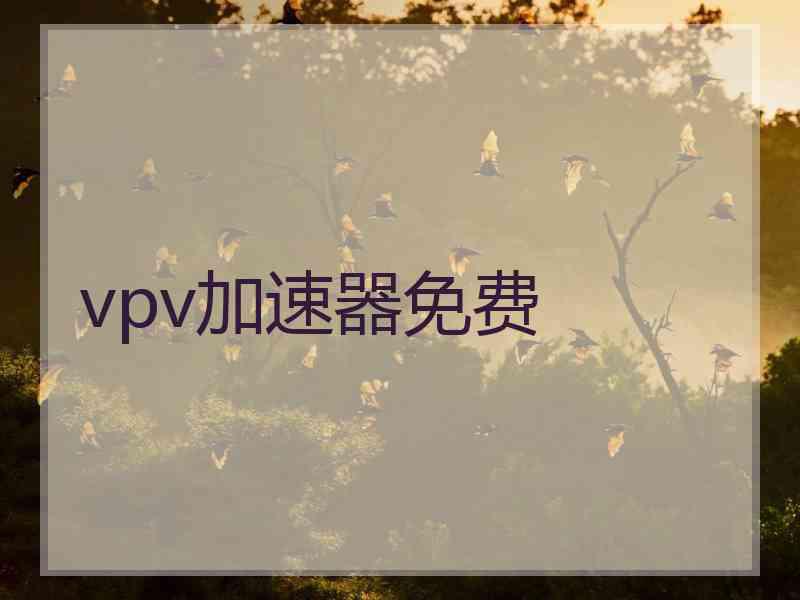 vpv加速器免费