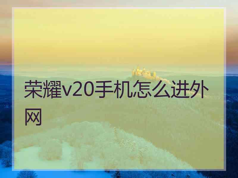 荣耀v20手机怎么进外网