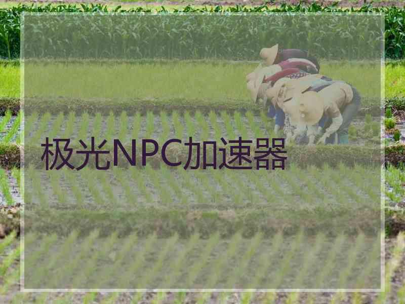 极光NPC加速器