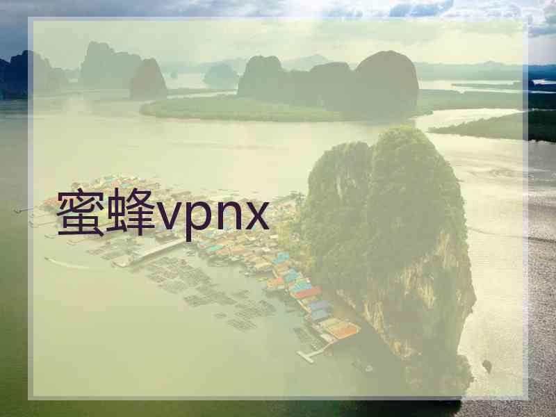 蜜蜂vpnx