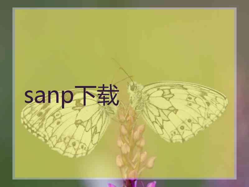 sanp下载