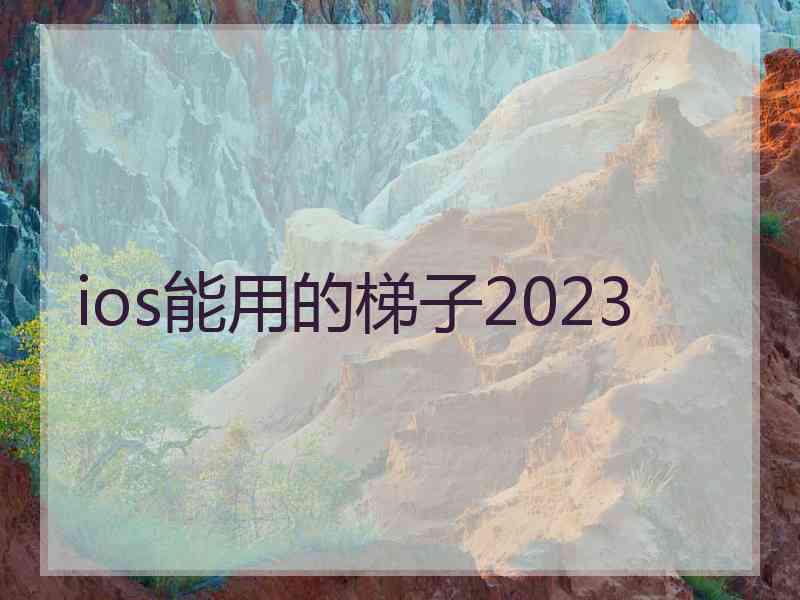 ios能用的梯子2023