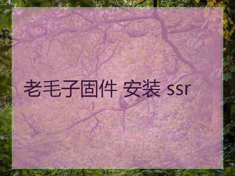 老毛子固件 安装 ssr