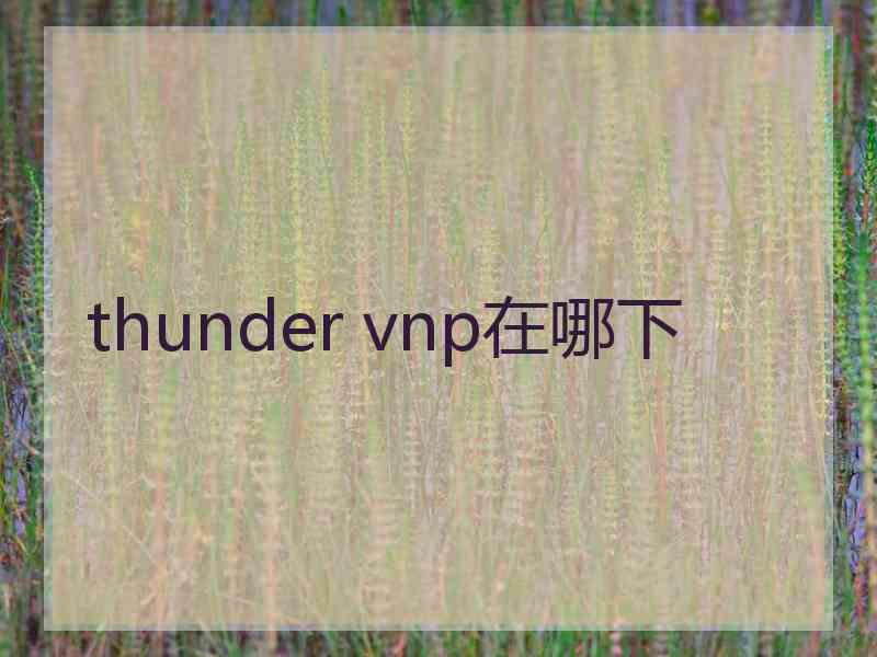 thunder vnp在哪下