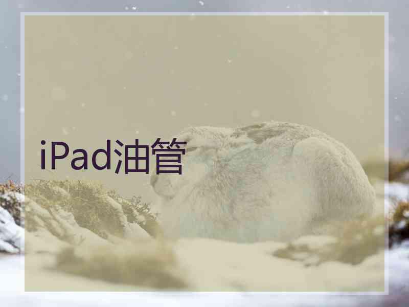 iPad油管