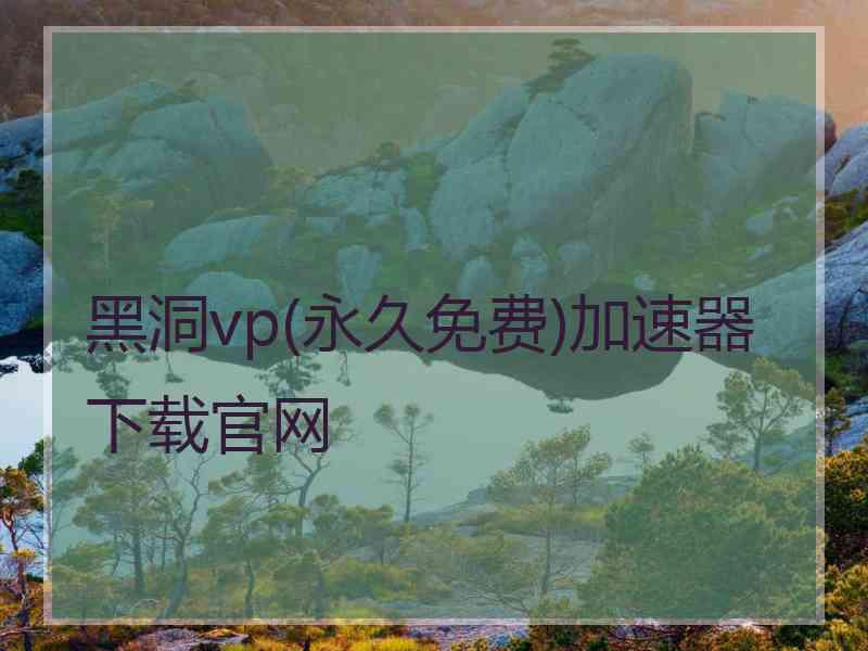 黑洞vp(永久免费)加速器下载官网