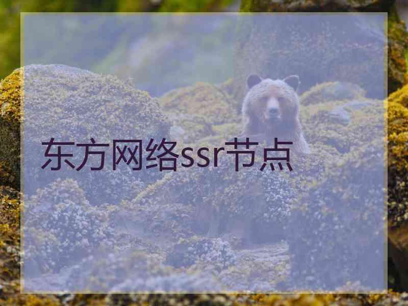 东方网络ssr节点