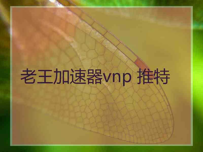 老王加速器vnp 推特