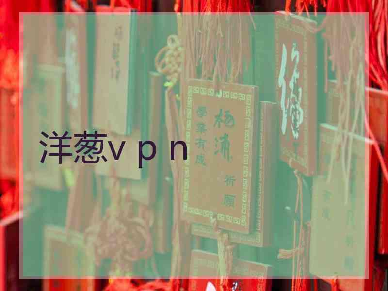 洋葱v p n