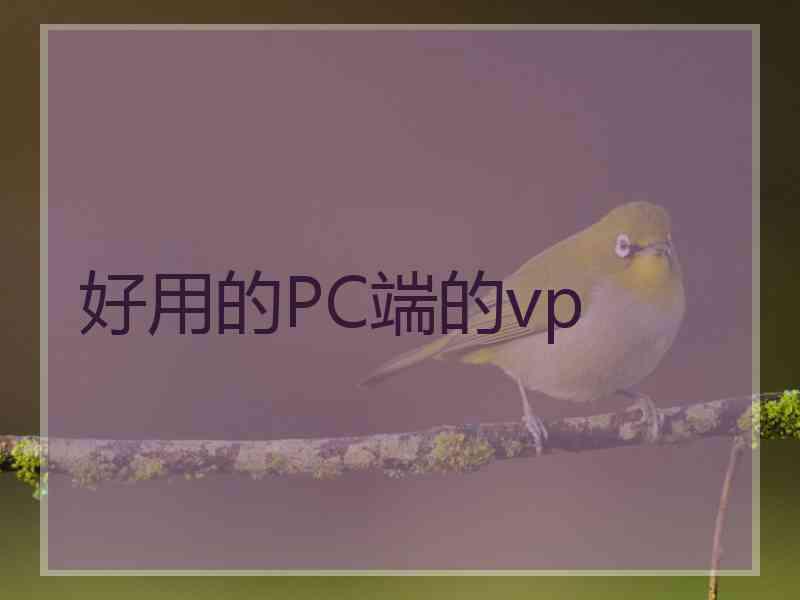 好用的PC端的vp