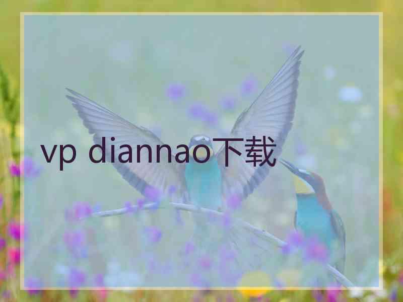 vp diannao下载