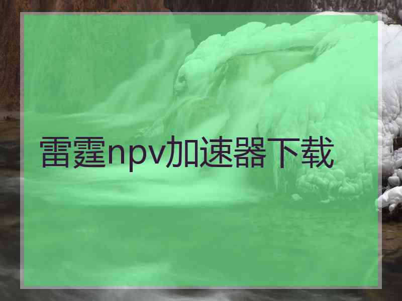 雷霆npv加速器下载